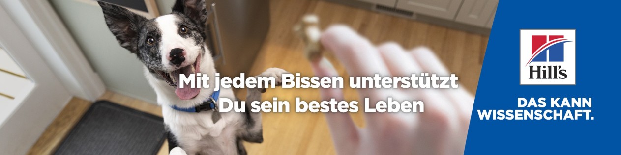Katzen- und Hundefutter von Hill's 