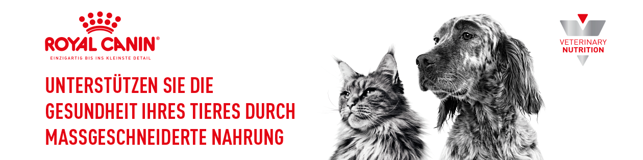 RoyalCanin_Teaser_de_2018-06-26