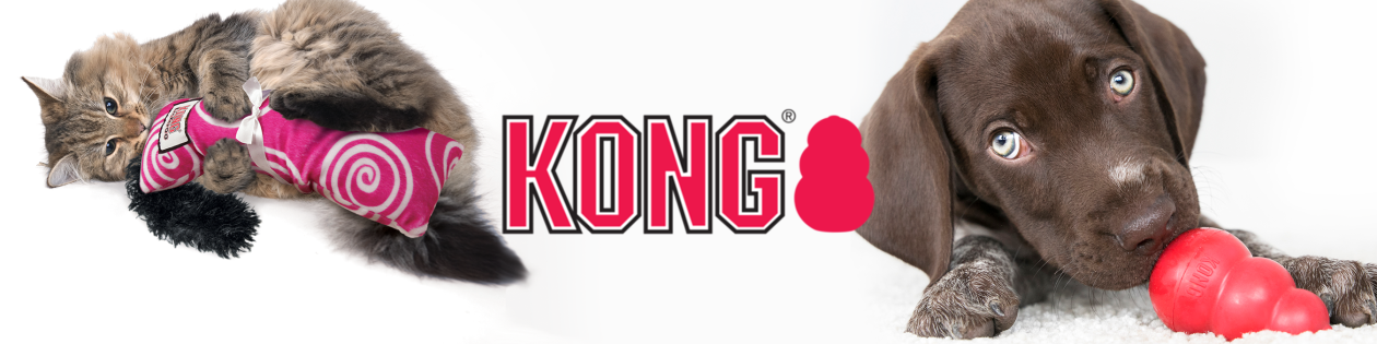 Kong