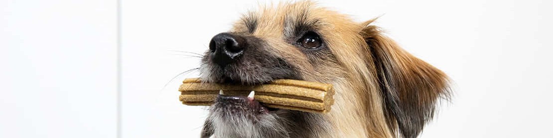 Purina - Dentalife Snacks