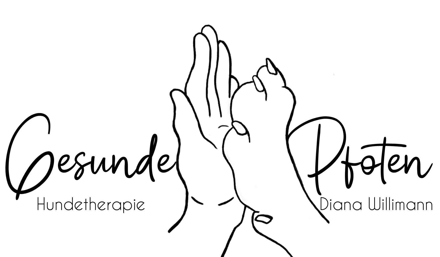 Gesunde Pfoten Hundephysiotherapie