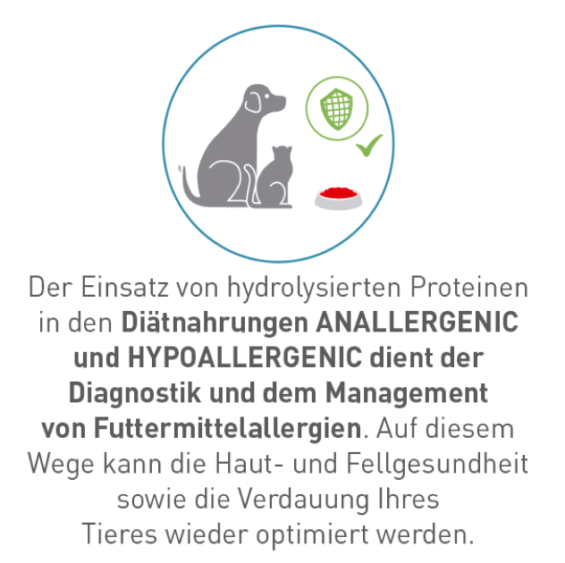 Diagnostik & Management