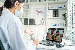 Vorabkl&auml;rung mit Tiermedizinischer Praxisasistentin (TPA)