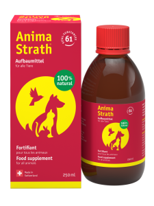 Anima Strath fl&uuml;ssig