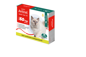 Antinol Starterkit Cat Kapseln