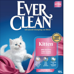 Ever Clean Kitten