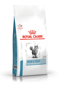 Dermatology - Skin & Coat Cat